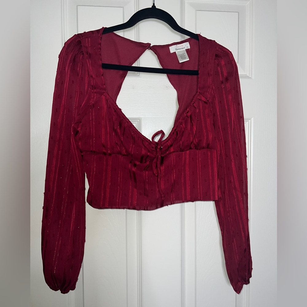 🌹Urban Romantics Red Sheer Cropped Top